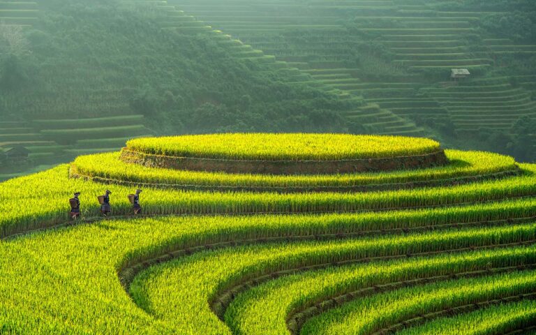 10 Best Places and Tourist Attractions to Visit in Vietnam